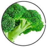 El brócoli es un ingrediente rico en ácido lipoico