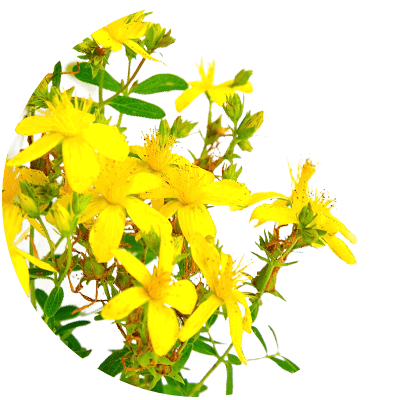 gel-hypericum-perforatum