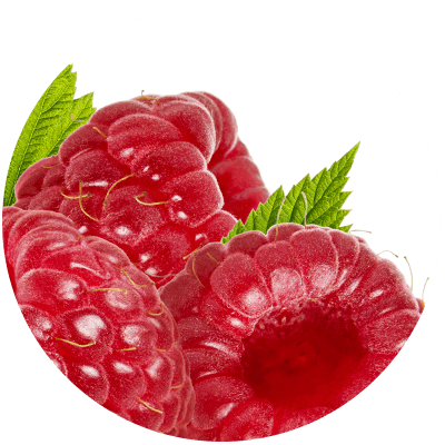 acido-ferulico-ingrediente-serum-cosmetico-crema